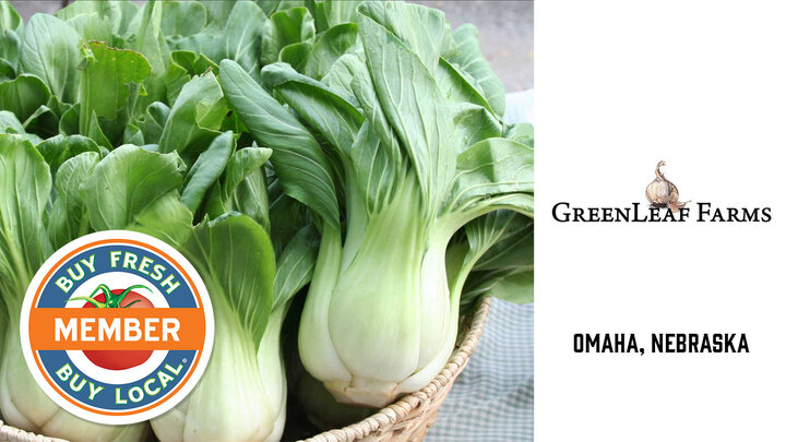 GreenLeaf Farms spotlight photo showcasing their freshly grown bokchoy