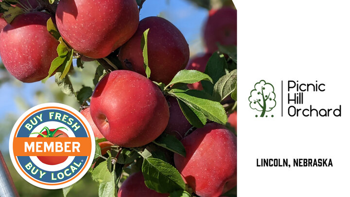 Picnic Hill Orchard spotlight photo