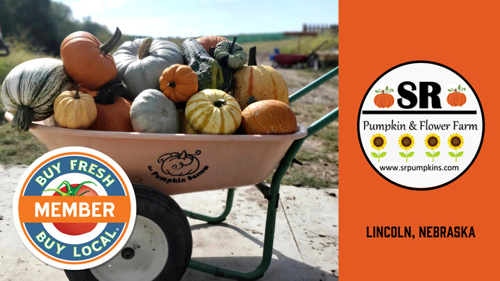 SR Pumpkin and Flower Farm Spotlight image showing a wheelbarrow of pumpkins