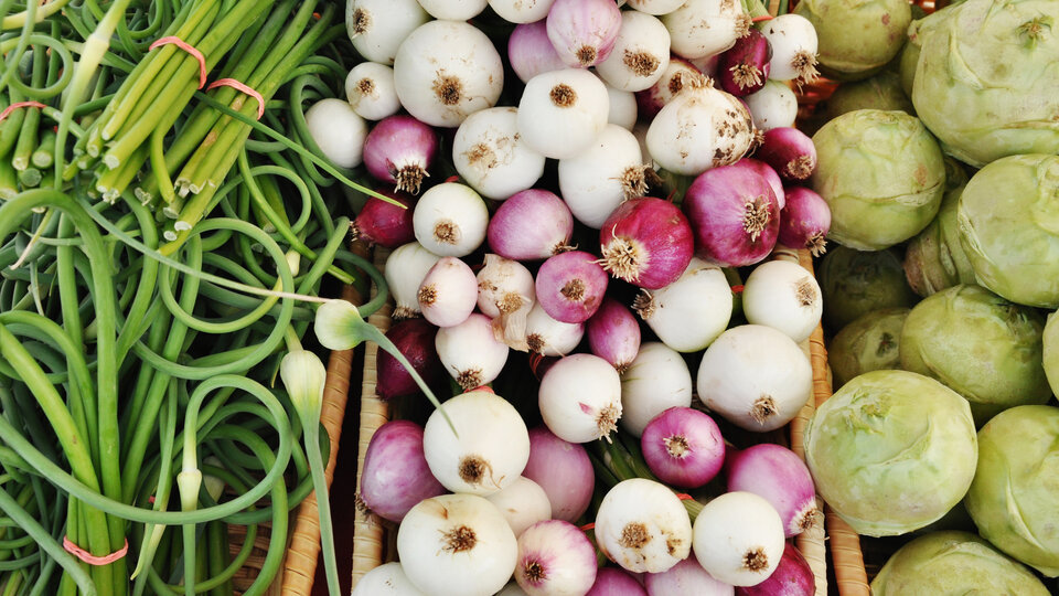 Photo of locally grown onions