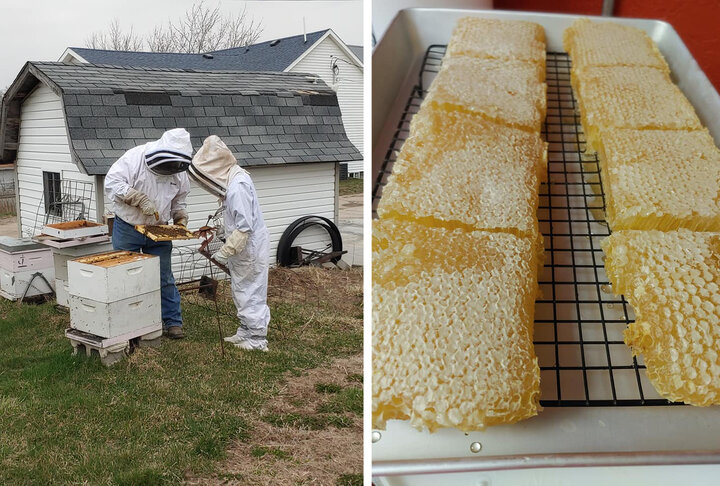 Two beekeepers inspecting a hive and a photo of honeycombs